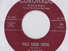 Danny and The Counts You Need Love EL PASO TEXAS Snarling 60s Garage Punk 45 mp3