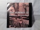 Ray Hummel III Fine Day Gentle Rain 1967 Fenton Michigan Garage Rock 45 Pic Slv