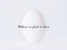 A Ghost Is Born by Wilco *New Vinyl LP*