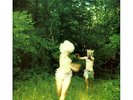 The World Is A Beautiful Place Harmlessness Vinyl Record Album brand new sealed