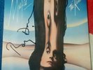 Ray Davies signed - The Kinks - Misfits lp vinyl - 1978
