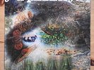 Pink Floyd - Saucerful of Secrets LP vinyl SX6258 Mono early pressing