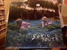 Sonic Youth Murray Street LP sealed vinyl gatefold Thurston Moore