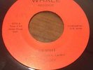 RARE DETROIT GARAGE ROCK 45 POWER POP RECORD.HOT LUCY.KID STUFF/SWITCHITTER.HEAR