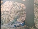 YOKO ONO – PLASTIC ONO BAND LP (sealed) Apple 3373 John Lennon Beatles