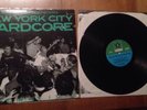 Nyhc The Way It Is Comp 1st Press W/ Book Warzone Youth Of Today Sick Of It All