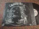 Capability Brown nice vg+ LP Scratching the Surface