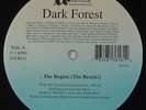 Dark Forest - The Region (The Remix) 12