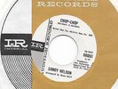 Sandy Nelson Chop Chop Mod Soul Promo Imperial 45