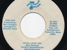 80s Soul 45 - RICKEY WASHINGTON / WIZZDOM After Lovin' You  Modern MP3
