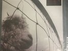 Pearl Jam Vs Vinyl Edition **Brand New Sealed**