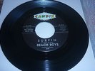 Beach Boys 7