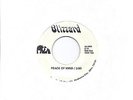 BLIZZARD- PEACE OF MIND (RARE PRIVATE HARD ROCK PSYCH) PROTO METAL CIRCA '74