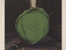 Meters - Cabbage Alley [Vinyl New]
