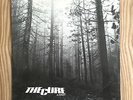 Very Rare Original The Cure 'A Forest' 12