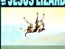 Down - Jesus Lizard (2009, Vinyl New) Remastered/Deluxe ED.