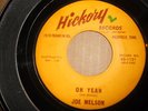 Joe Melson 
