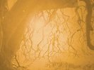 Golden Void - Golden Void