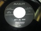 STEVE ALAIMO & RED COATS She's My Baby 45 7