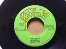 NORTHERN SOUL BOOGALOO R&B FUNK 45 VOLUME ONE / JUNGLE BEAT on GRANDE