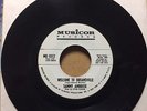 NORTHERN SOUL R&B 45 SAMMY AMBROSE / WELCOME TO DREAMSVILLE on MUSICOR