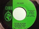 Northern Soul EVIE SANDS Picture me gone CAMEO 45 - 70's Reissue WIGAN CASINO Ex