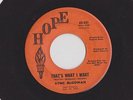 Baltimore/Northern Soul SYNG McGOWAN THAT'S WHAT I WANT on HOPE