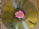Anti-Flag American Spring Tour Edition Black/Gold Haze Vinyl...SOLD-OUT
