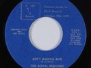 Northern Soul/Sweet Soul 45 ROYAL ESQUIRES Ain't Gonna Run HSI PRIX NM HEAR