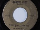 Northern Soul 45 PROFESSIONALS That's Why I Love You GROOVE CITY HEAR