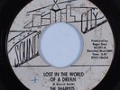 Northern Soul 45 SHARPETS Lost In The World Of A Dream SOUND CITY HEAR