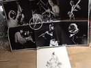 LP 33 tours Rare Earth 