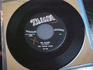 THE YOUNG LIONS 45 from unplayed radio station stock OH DADDY   DOO WOP  TAMPA