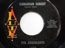 ARROGANTS 45 Canadian sunset / Mirror mirror LUTE R&B w4217
