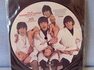 Beatles Limited Edition Picture Disc 