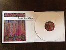 Into Another ?– Ignaurus LP - Revelation 35 - HARDCORE - WHITE Vinyl Ltd 200