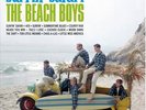 Surfin' Safari - Beach Boys (2014, Vinyl NEW)