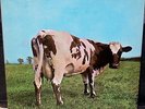 ATOM HEART MOTHER BY PINK FLOYD HARVEST SKAO-382 VINYL ALBUM