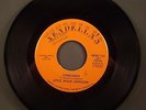 NORTHERN SOUL 45 Little Willie Johnson Loneliness Vendella's 101 Mint Rare Hear