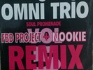 Omni Trio - Vol.5 - Soul Promenade ( Remixes )  Drum & Bass / Jungle 12