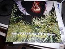 THE JULIANA HATFIELD THREE Become What You Are Import LP Vinyl Boston Rare Blake