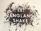PJ Harvey - Let England Shake NEW SEALED VINYL LP RECORD