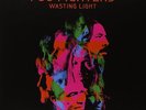 Foo Fighters - Wasting Light (2011)  180g Vinyl 2LP  NEW/SEALED  SPEEDYPOST