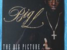 BIG L -2xLP- The Big Picture (1974 - 1999) NEW, SEALED
