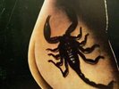BEST OF THE SCORPIONS NM UK