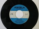 SCRANTON, PA Garage/Surf 45: Angie & the Citations 