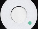 THE WRIGGLERS  THE COOLER  YOU CAN  NOT KNOW  VINYL DUBPLATE