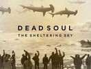 NEU LP Dead Soul - The Sheltering Sky (180g) #G53964839