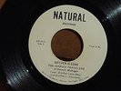 JERICHO TRAVELERS OF DETROIT, MI   RARE BLACK GOSPEL SOUL R&B 45 *NATURAL * HEAR