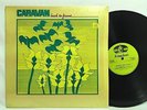 Caravan Back To Front Prog Rock LP Vinyl Record A1/B1 Pressing in-shrink